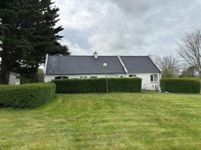Démoussage et brossage toiture