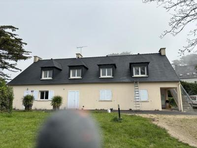 Nettoyage façade et muret de clôture
